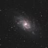 M33